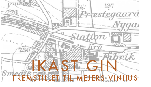 Ikast Gin - Mejers
